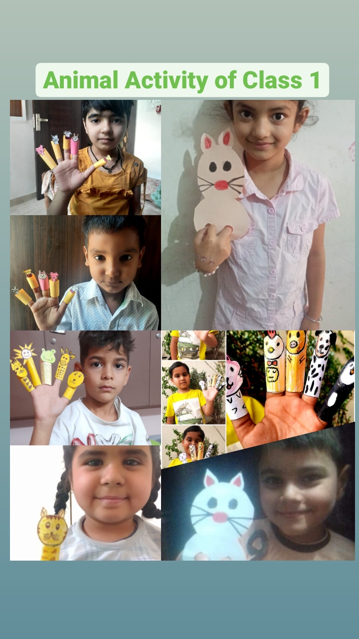 New yashoda Public School Hisar