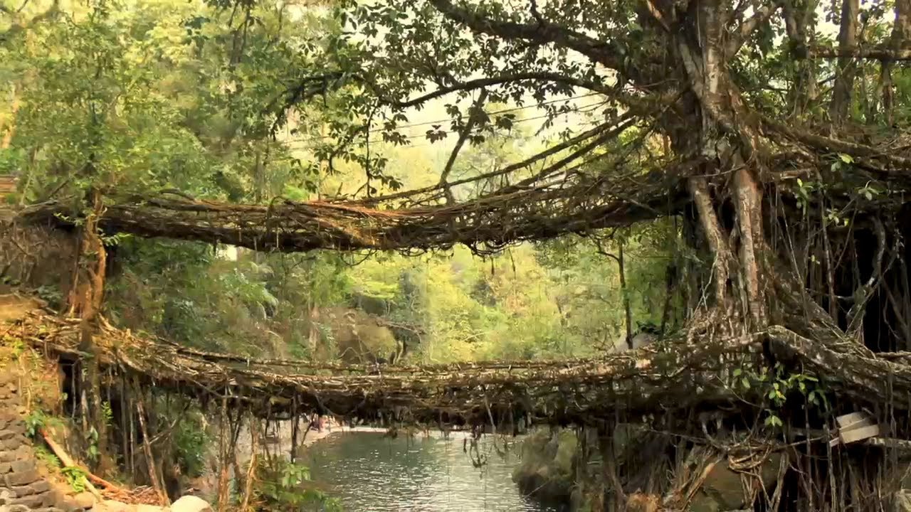 Places to visit in Meghalaya | best places to visit in Meghalaya