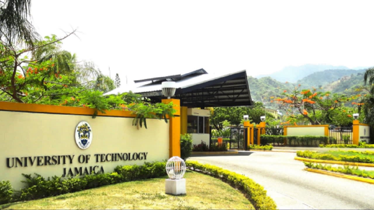 University in Jamaica | College in Jamaica
