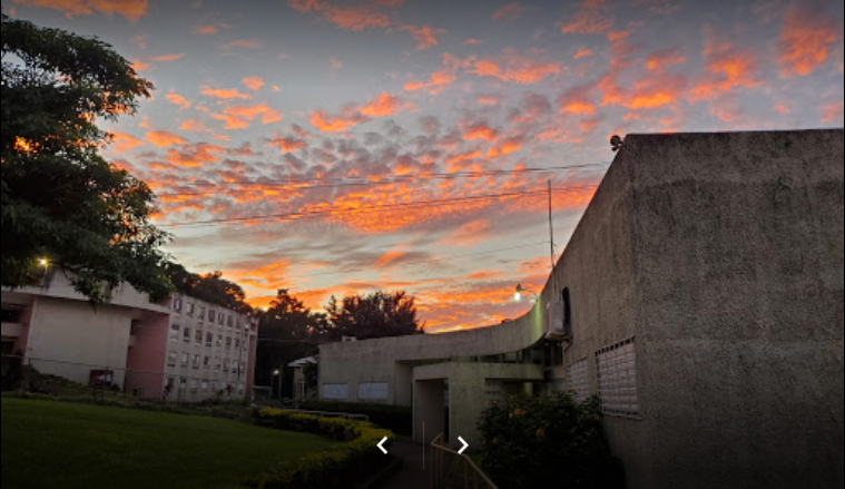 University in Jamaica | College in Jamaica