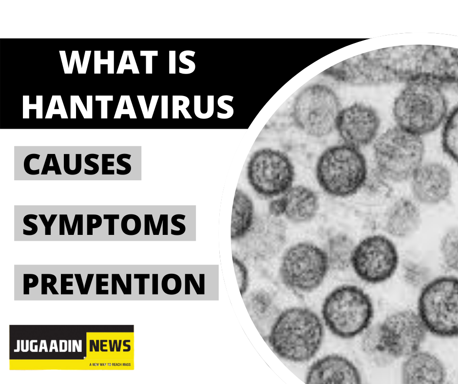Hantavirus
