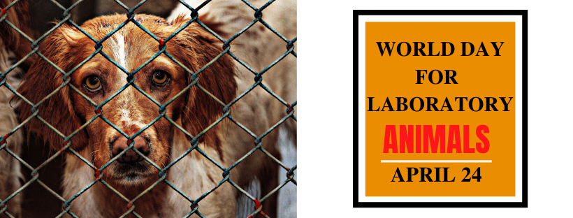 world day for laboratory animals