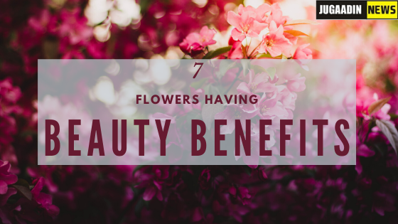 flowers that have skincare benefits