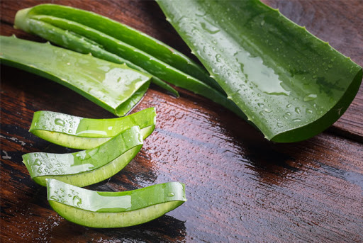 aloe vera uses