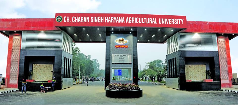 CCSHAU ICAR Ranking