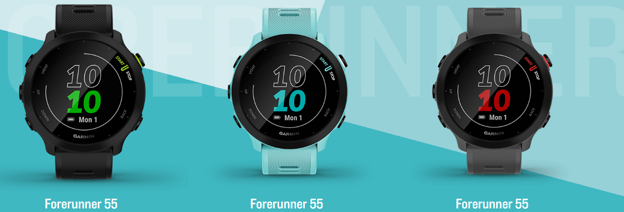 Garmin forerunner 55 in India