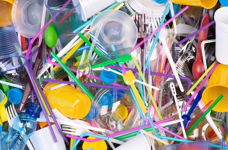 Single use plastic Ban