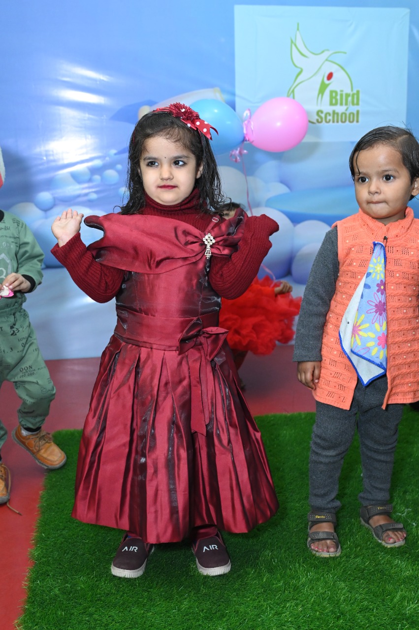 ibird international School Baby Show in Hisar