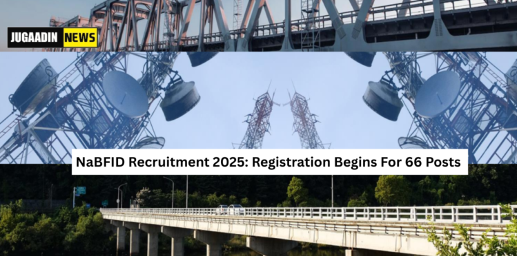 NaBFID begins recruitment for 66 Analyst and Senior Analyst posts; online registration open at nabfid.org